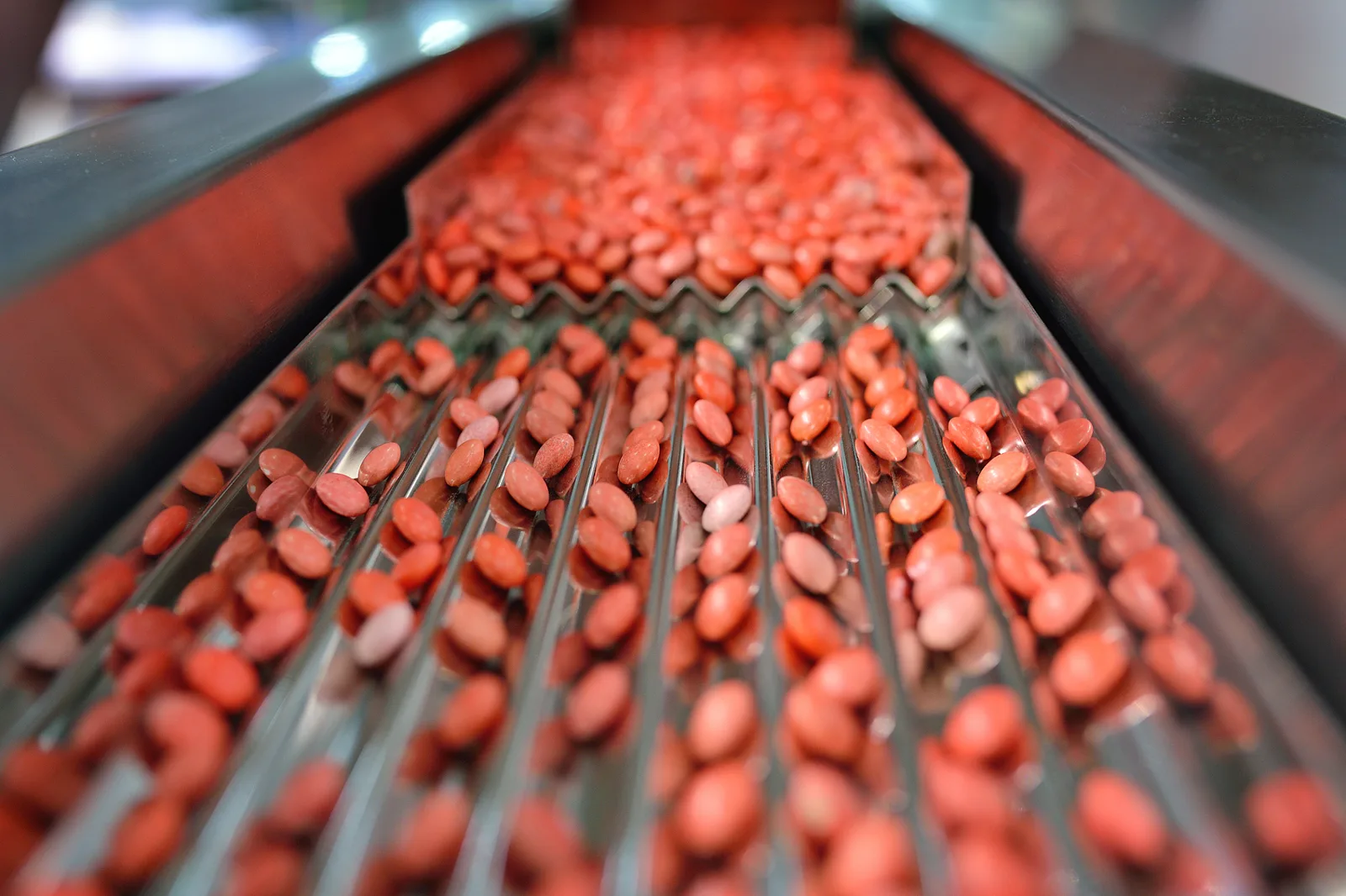 Hard capsule production in GMP workshop